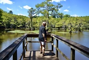 6th Sep 2020 - Looking for alligators