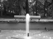 6th Sep 2020 - The benches in monochrome