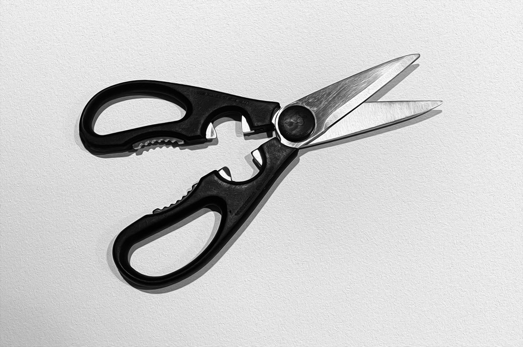 Scissors by sprphotos