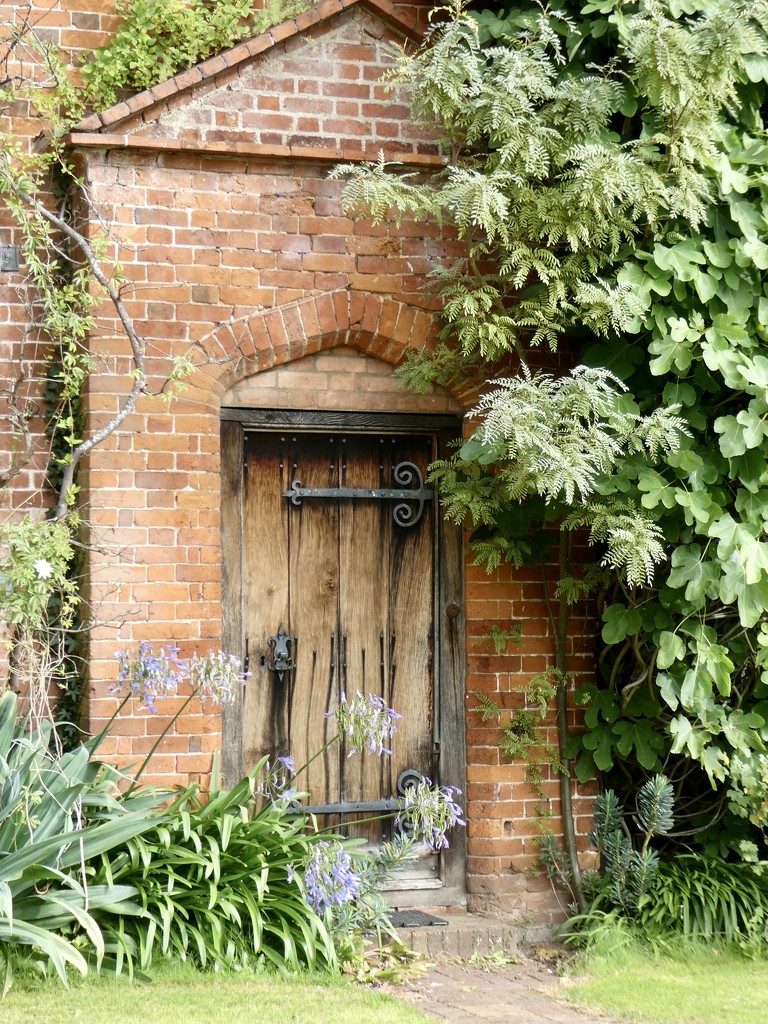 Hidden doorway by orchid99