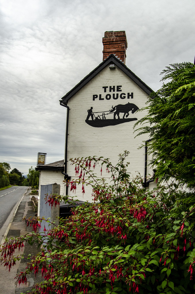 The Plough by clivee
