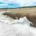 Beach Wave  by joesweet