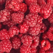 3rd Sep 2020 - Freshly picked raspberries