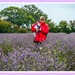 Rosie And Daisy In A Lavender Field by carolmw