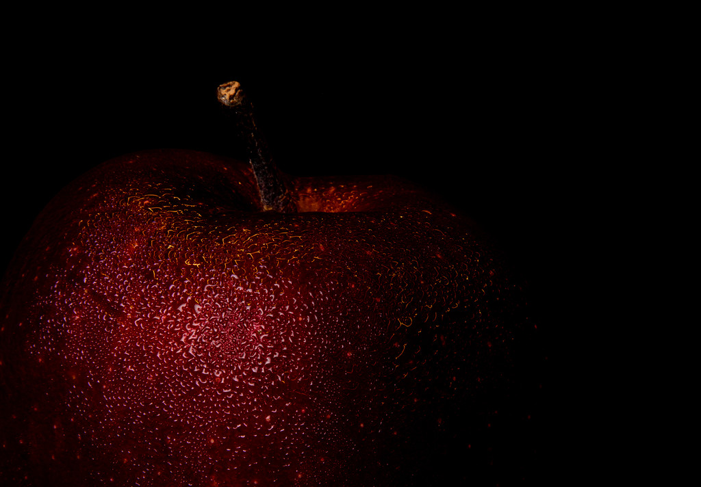 (Day 206) - Apple a Day by cjphoto