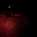 (Day 206) - Apple a Day by cjphoto