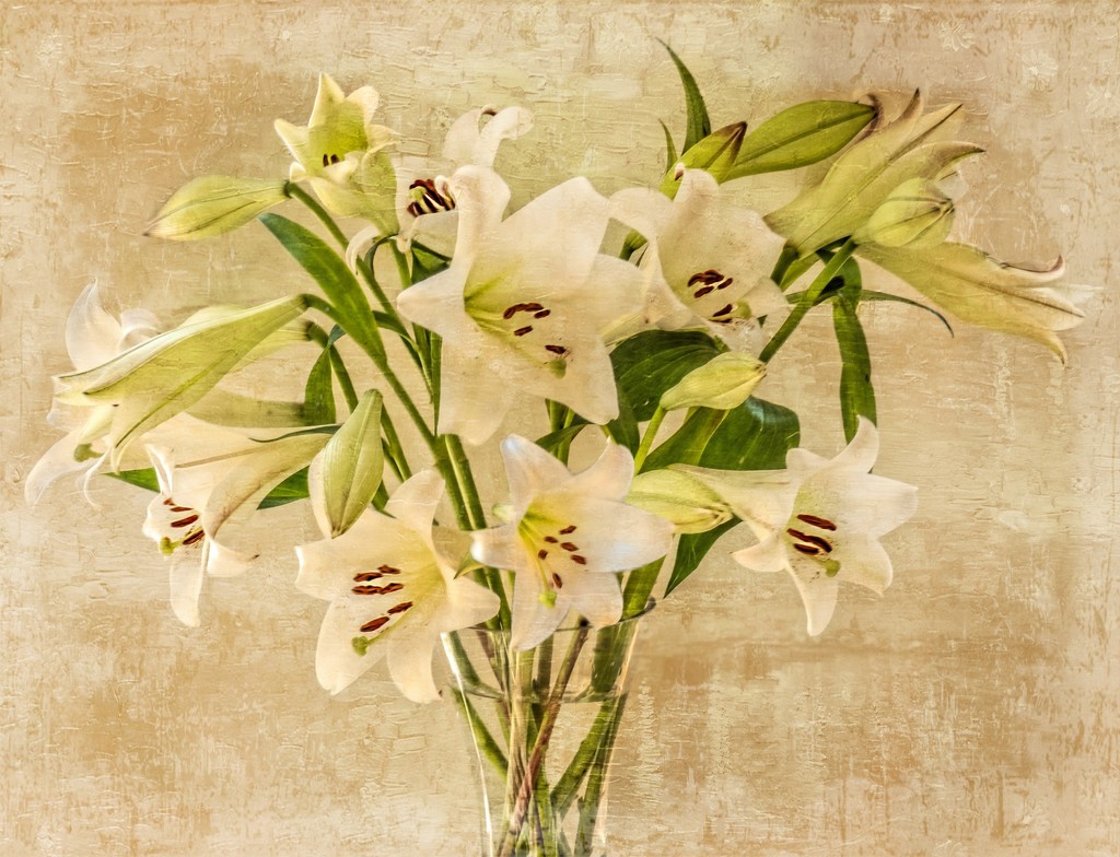 My favourite flowers by ludwigsdiana