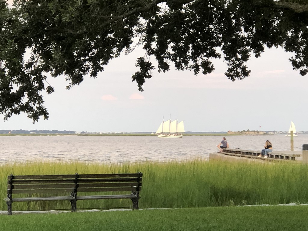 View of Charleston Harbor from Waterfront Park by congaree