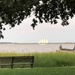 View of Charleston Harbor from Waterfront Park by congaree