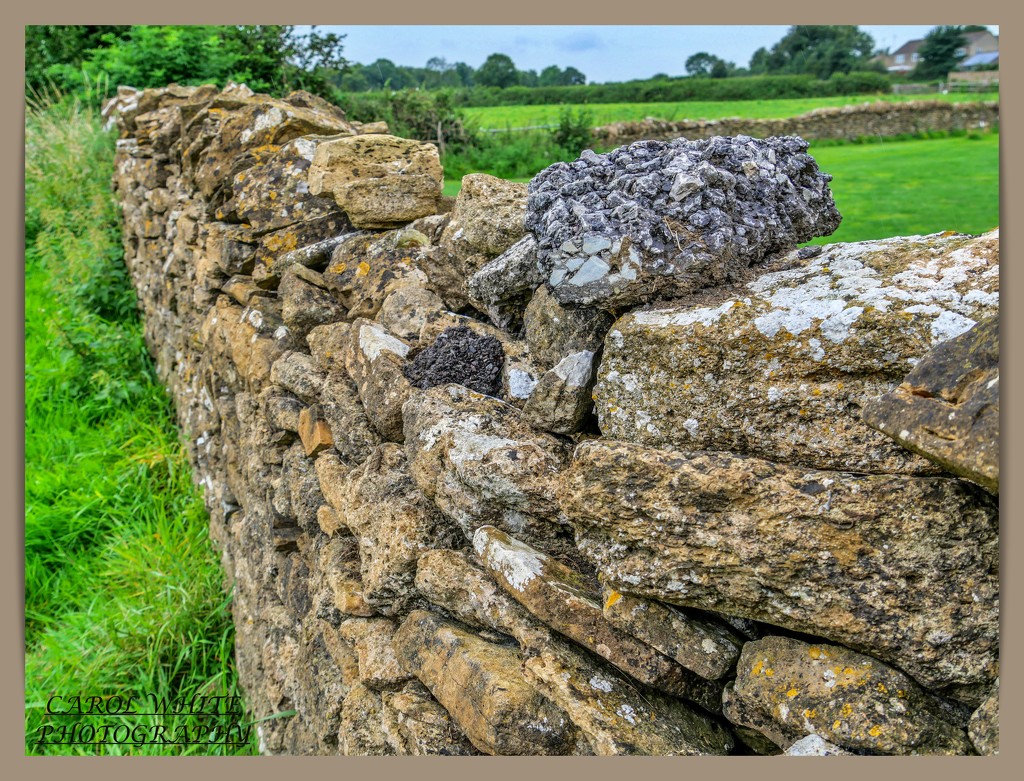 Dry-stone Wall by carolmw