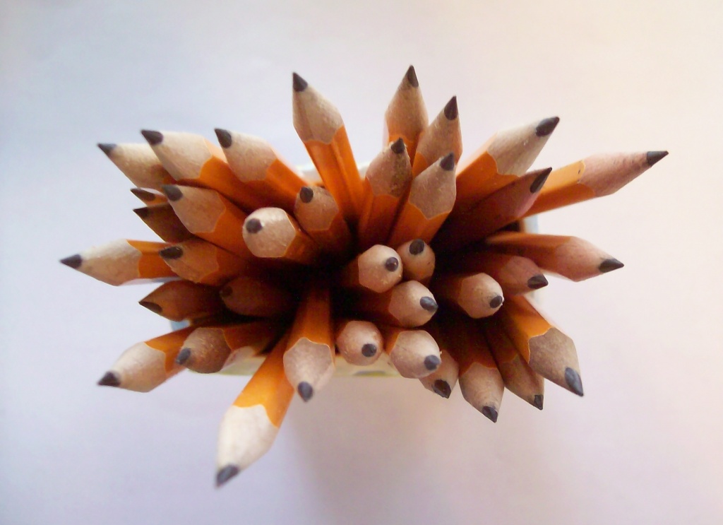 Bouquet of Newly Sharpened Pencils by julie