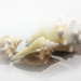 Shells by ingrid01