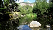 8th Sep 2020 - An oasis in the surrounding dry areas...