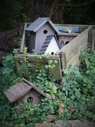9th Sep 2020 - Old bird houses