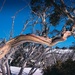 Snow Gum by pusspup