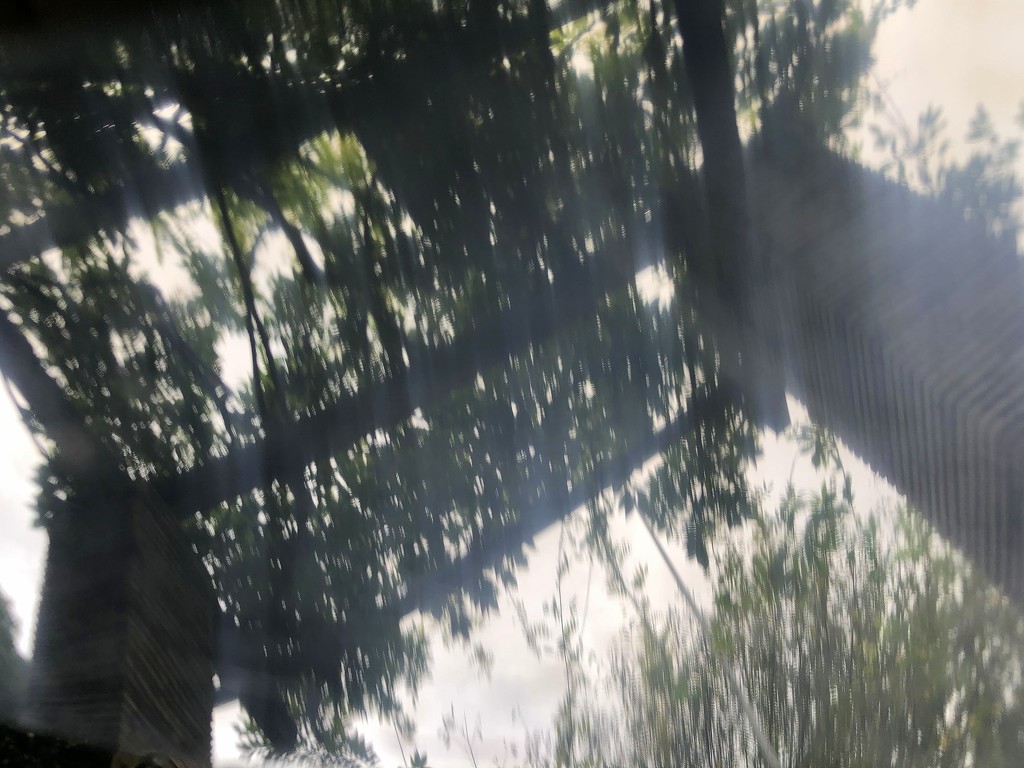 2020-09-10 Canopy Reflect by cityhillsandsea