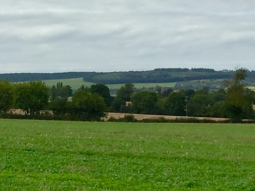 A distant view of Bircher Common by snowy