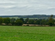 10th Sep 2020 - A distant view of Bircher Common