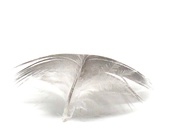 10th Sep 2020 - Feathers, Lightness In a Solid Form