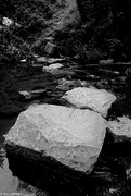 10th Sep 2020 - Stepping Stones 1