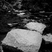 Stepping Stones 1 by allsop