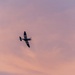 Spitfire at Sunset  by rjb71