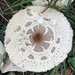 Magic Mushroom by daffodill
