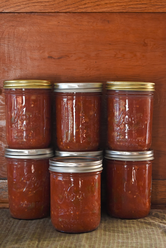 Home-Canned Salsa by bjywamer