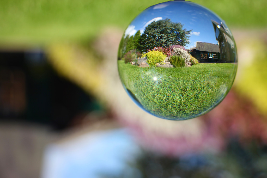 The Garden in a Bubble by jamibann