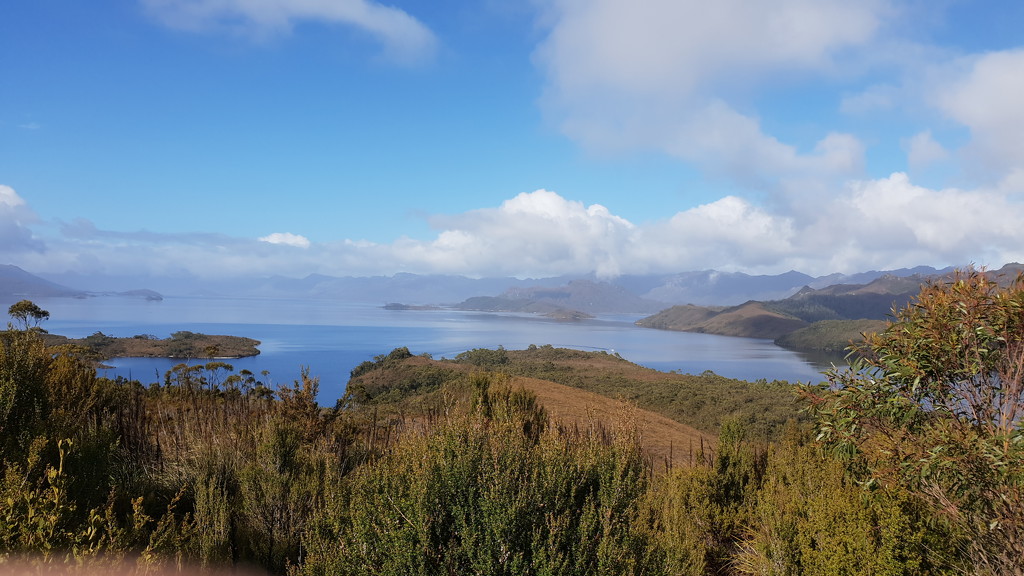 Tasmanian Wilderness by gosia