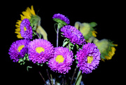10th Sep 2020 - Flowers at night