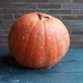 Fall Pumpkin by julie