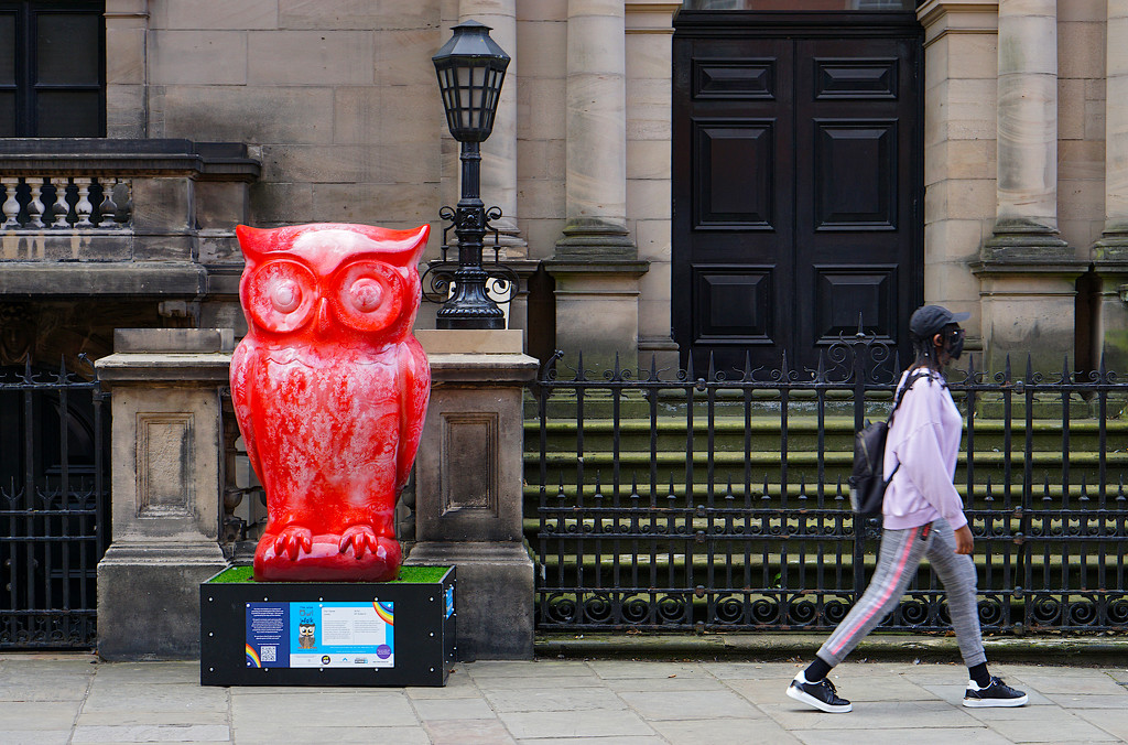 Nottingham Wise Owl Walk by phil_howcroft