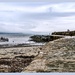 View From The Sea Wall,Lyme Regis by carolmw