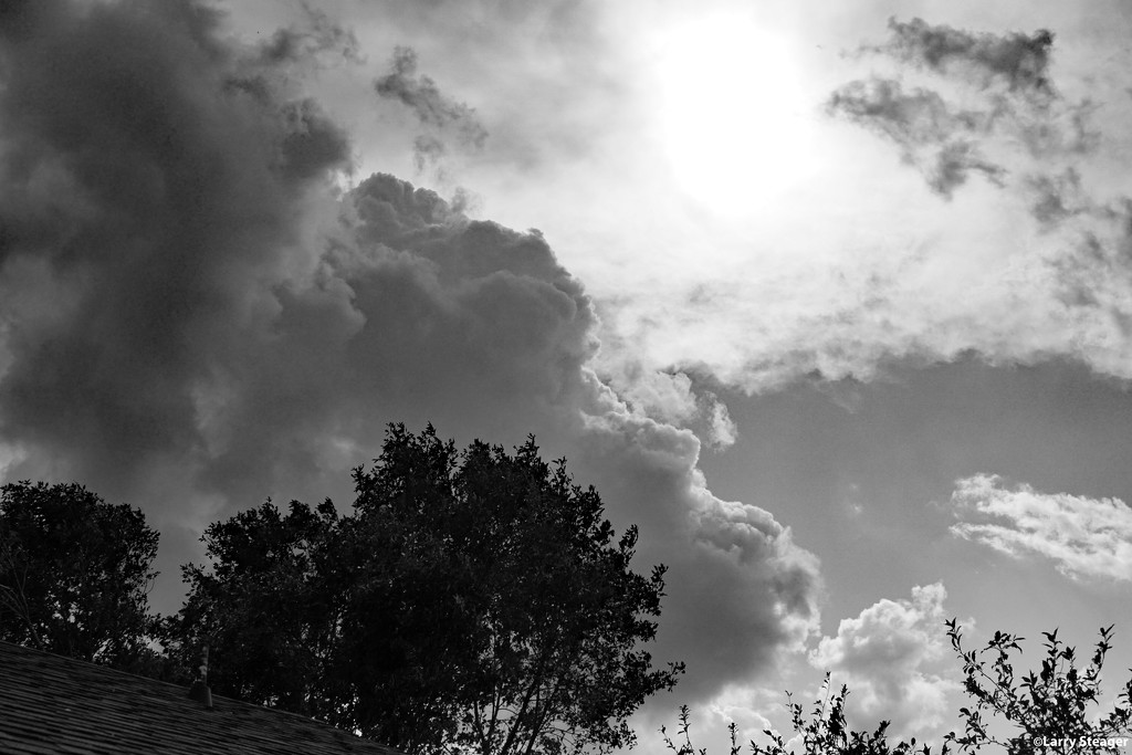 Afternoon sky in B&W by larrysphotos