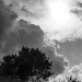 Afternoon sky in B&W by larrysphotos