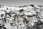 14th Sep 2020 - more snow shadows