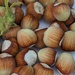 Hazelnuts by gq