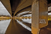 11th Jan 2011 - Under Clifton Bridge