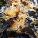 Peaty Water by lifeat60degrees
