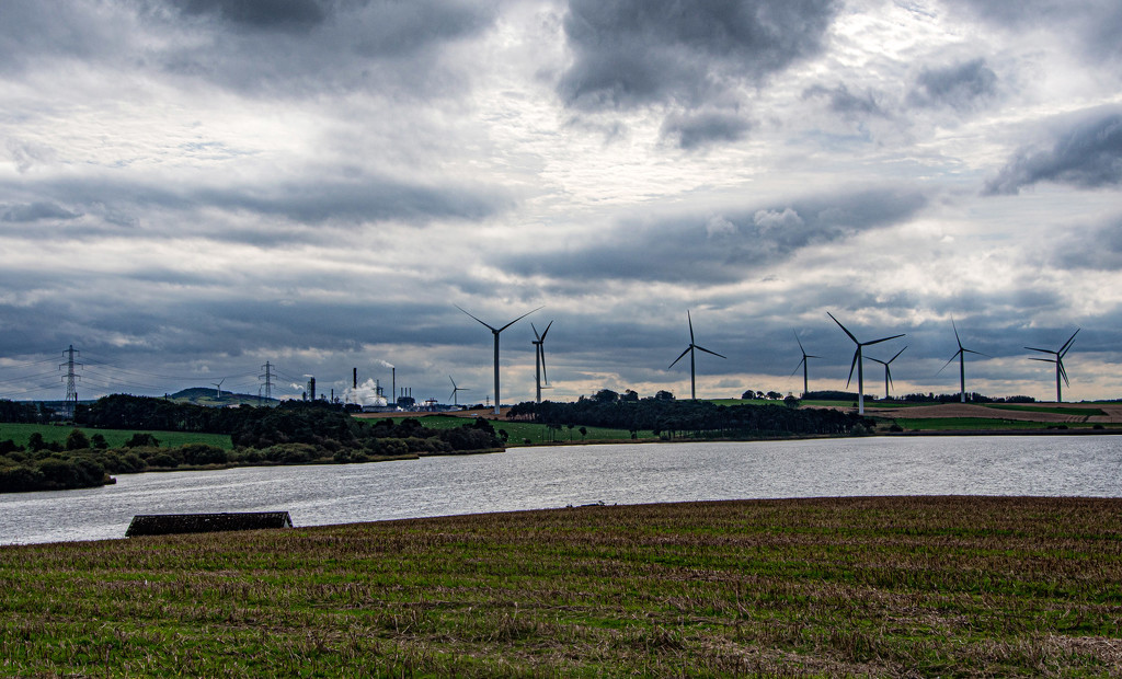 Wind farm by frequentframes