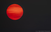 14th Sep 2020 - Sun or Mars?