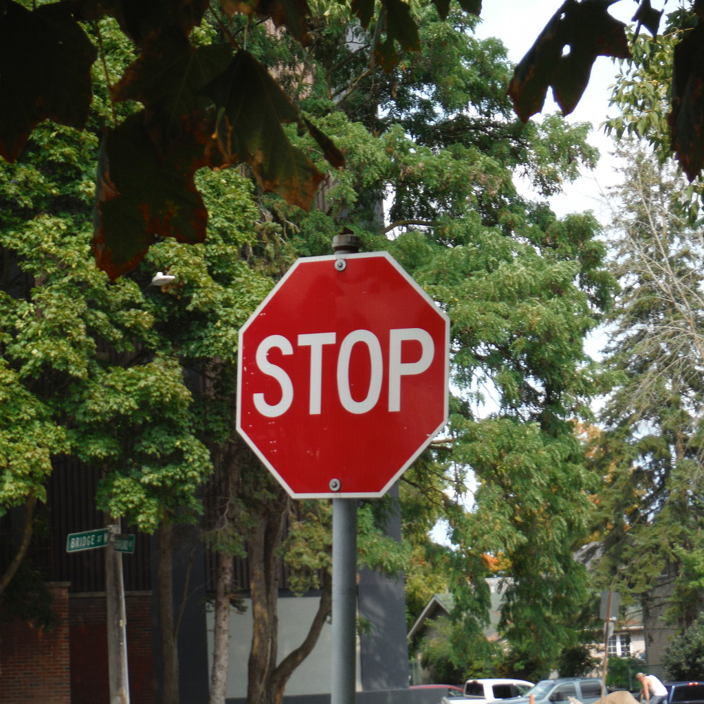 Stop! Frame It! by spanishliz