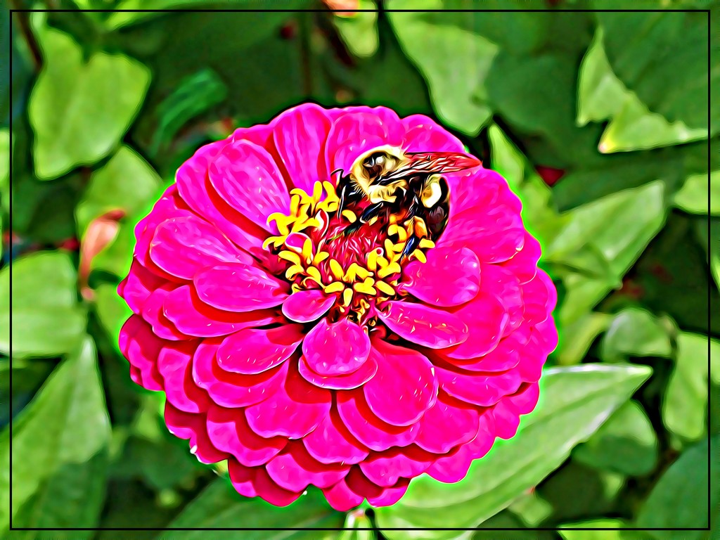 A Typical Bee on Flower Shot by olivetreeann