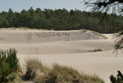 15th Sep 2020 - dunes