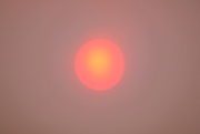 15th Sep 2020 - Wildfire Sun