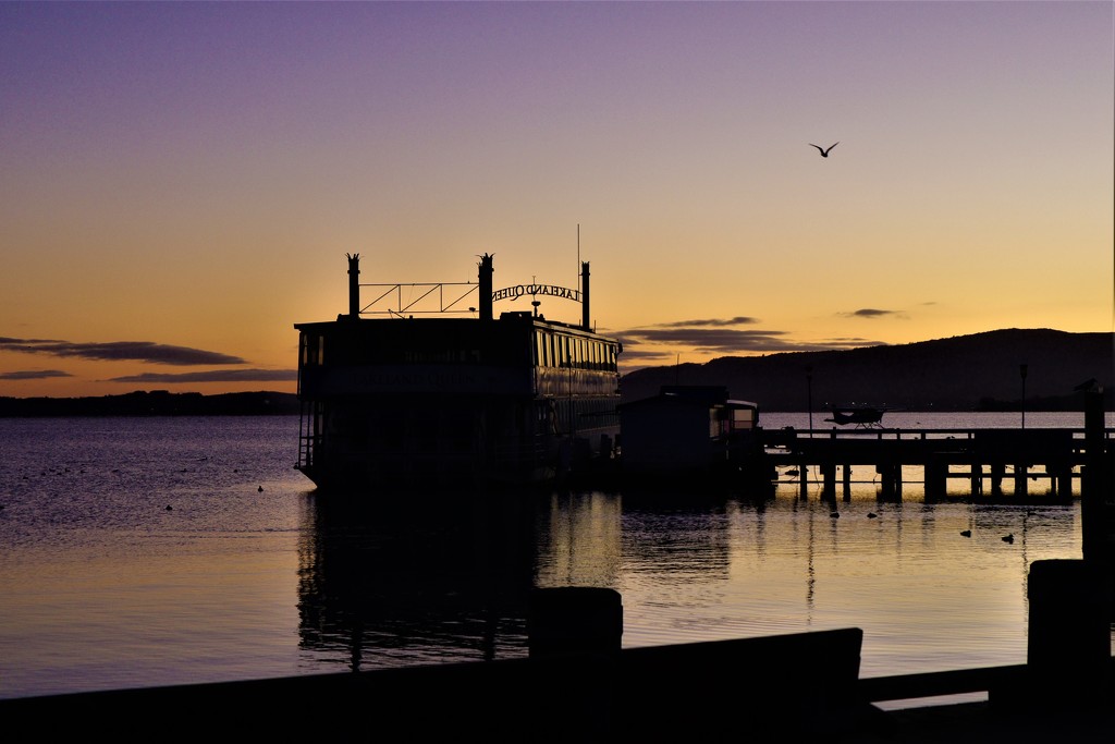 Sunrise Lake Rotorua by sandradavies