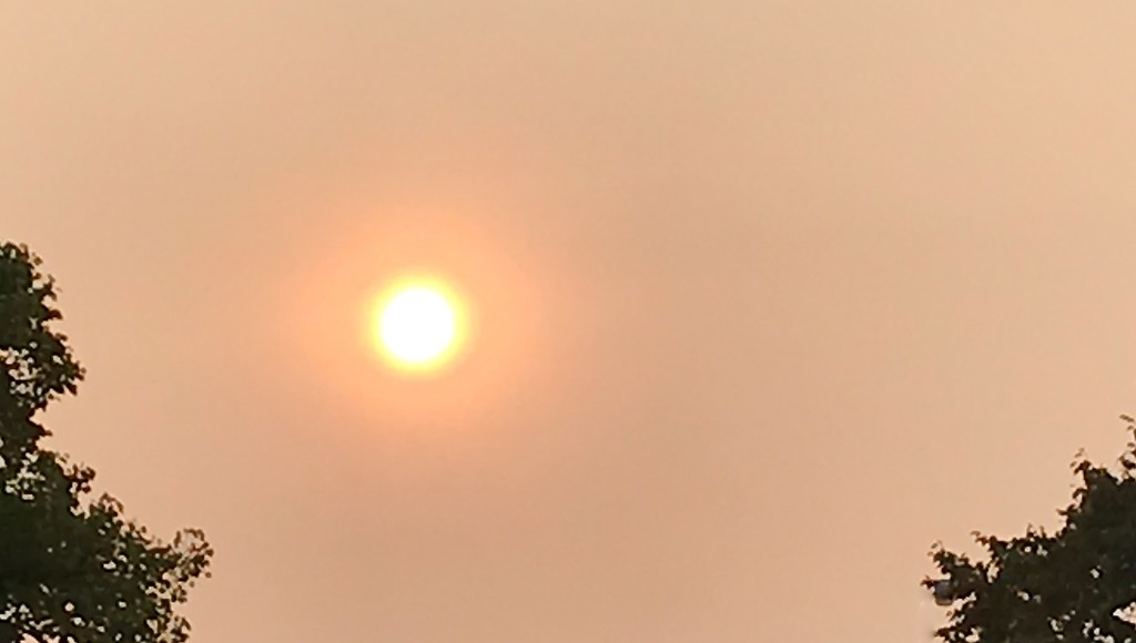 Hazy sun by mittens