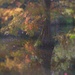 Autumnal Reflection by 30pics4jackiesdiamond