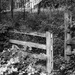 Gate into the woods by frequentframes